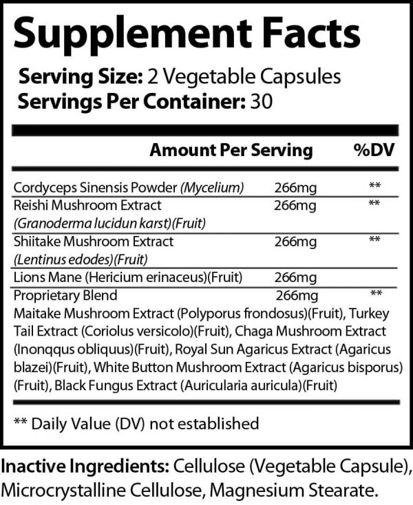 Mighty - Mushroom Immune Booster - Image 2